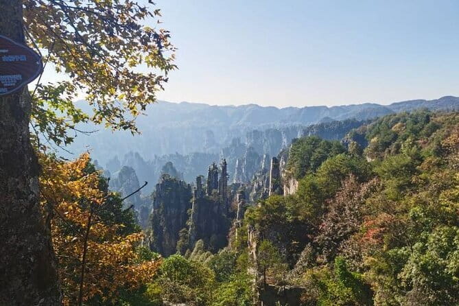1 Day Avatar Mountain & Fores Park Group Tour with VIP Access - The Zhangjiajie National Forest Park opener: start strong, don’t wander