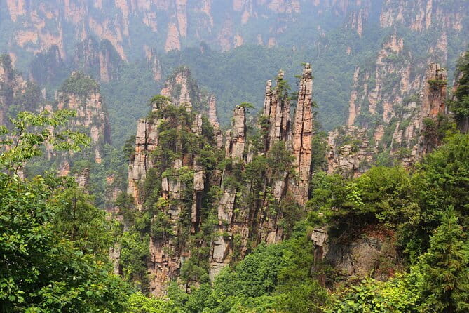 1 Day Avatar Mountain & Fores Park Group Tour with VIP Access - Small group size and the guide-driver setup: easier, calmer logistics