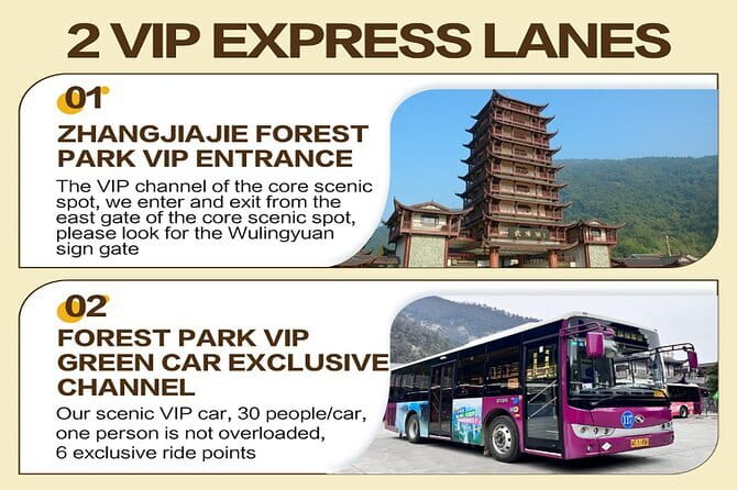 1 Day Avatar Mountain & Fores Park Group Tour with VIP Access - Bailong Elevator (one way): the cliff ride that makes the park feel unreal