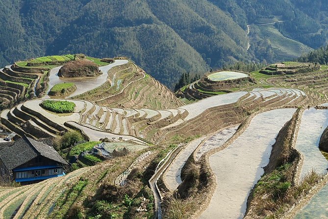 1-Day Longji Terrace Fields-Pingan village Tour with the English Speaking Driver - Pingan Village for about two hours: Zhuang stilt houses and an unhurried feel