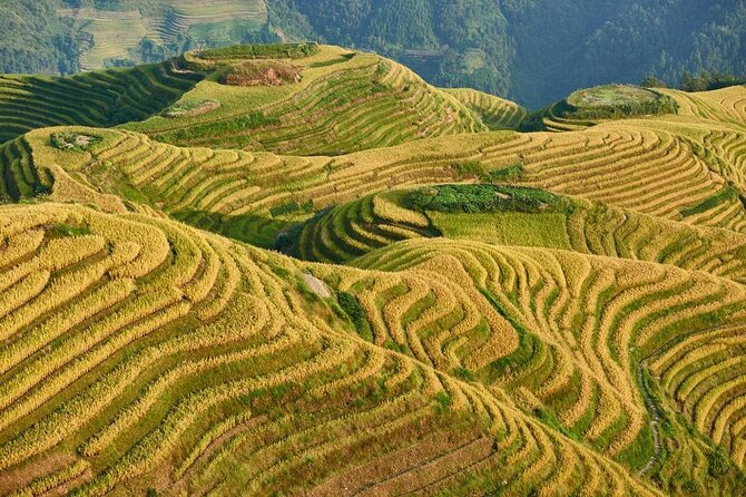 1-Day Longsheng Rice Terrace Tour from Guilin with Private Guide & Driver - Key things that make this Longji day trip work