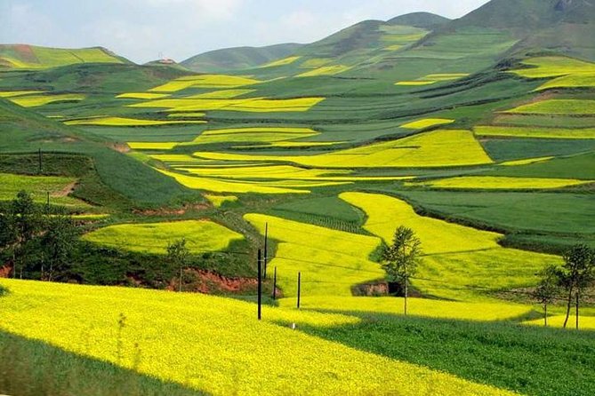 1-Day Longsheng Rice Terrace Tour from Guilin with Private Guide & Driver - Should you book this 1-day Longji tour?