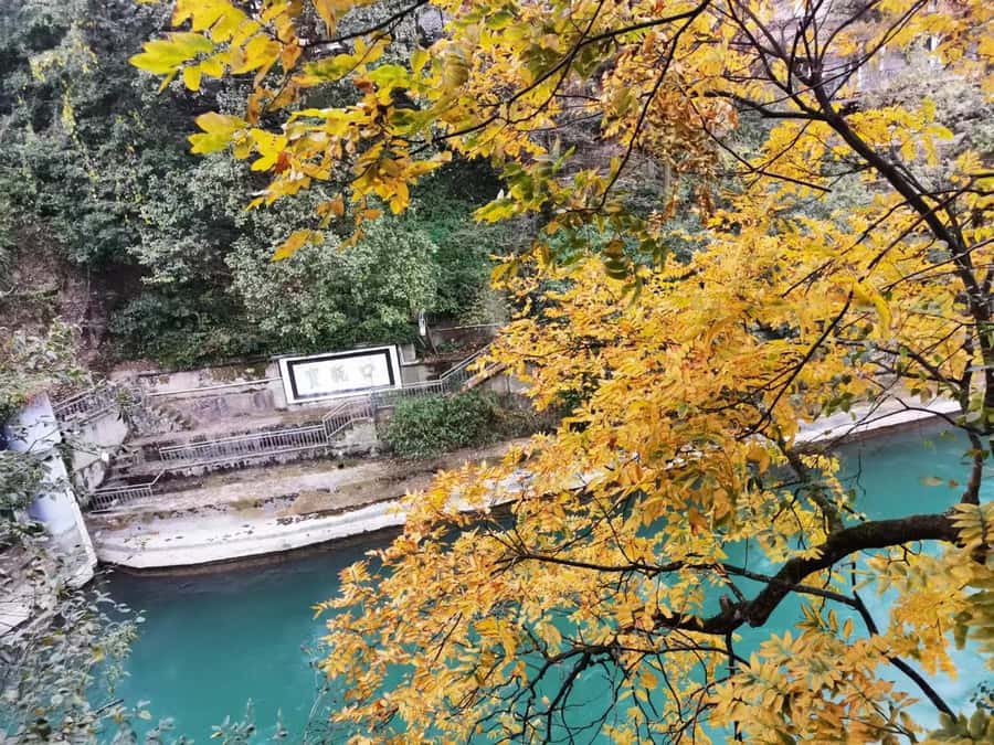 1-Day Mount Qingcheng and Dujiangyan Irrigation System Tour - Key highlights you’ll actually feel