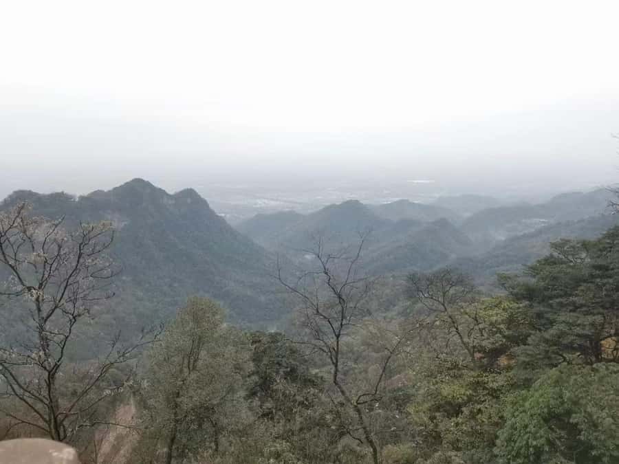 1-Day Mount Qingcheng and Dujiangyan Irrigation System Tour - Back Mountain: the calmer scenery and the “wow” features