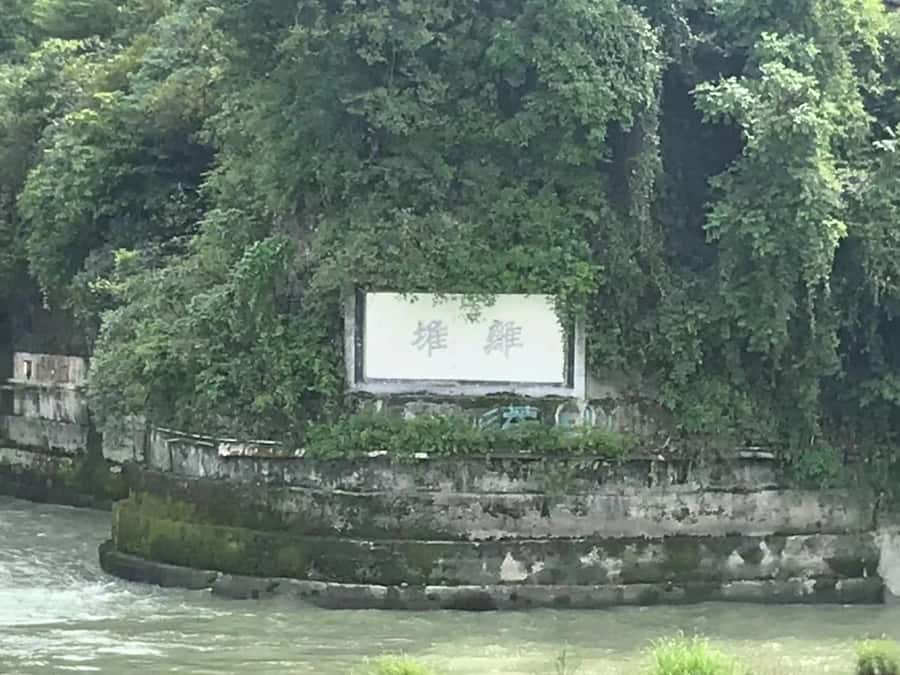 1-Day Mount Qingcheng and Dujiangyan Irrigation System Tour - Gondola lines and seasonal reality: plan for crowd friction