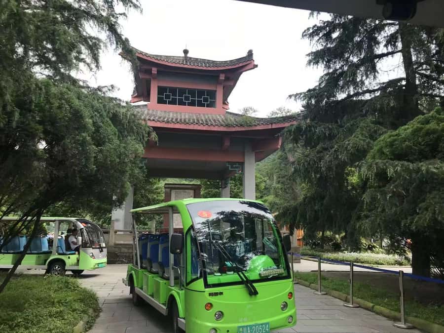 1-Day Mount Qingcheng and Dujiangyan Irrigation System Tour - Private guide versus small-group vibe: what changes for you