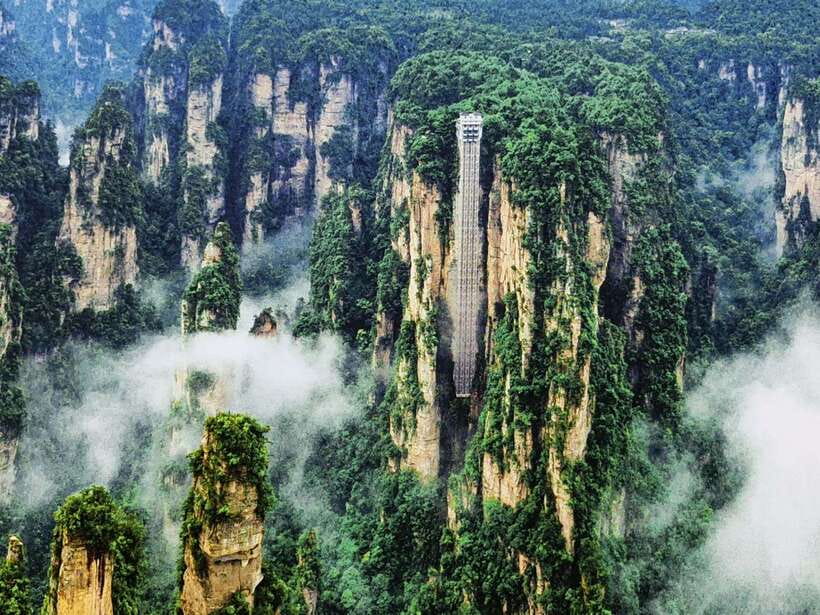 1-Day Private Tour to Zhangjiajie Highlights - Wildlife, Plants, and the Small Moments That Add Up
