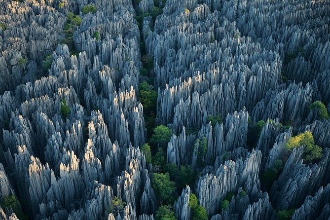 1 Day Stone Forest & Jiuxiang Cave Tour - Key Things to Know Before You Go