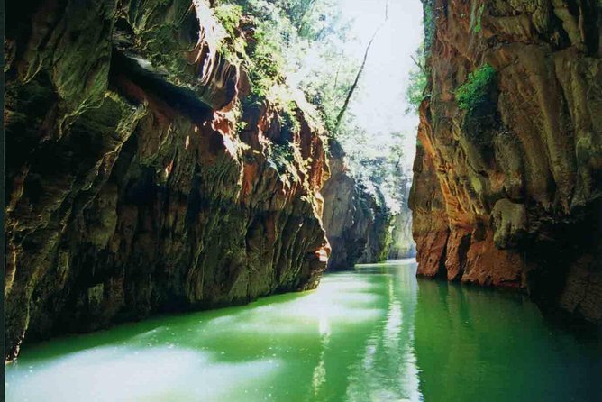1 Day Stone Forest & Jiuxiang Cave Tour - Stone Forest in Shilin County: Walking Among Limestone Trees