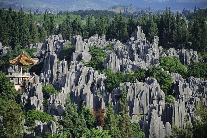 1 Day Stone Forest & Jiuxiang Cave Tour - Lunch, Water, and Guides: The Small Details That Make the Day Easier