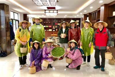 1-day Village Tea Picking, Roasting & Serving Guided Private Tour from Hangzhou - Tea picking in the Longjingshan fields: what you’ll do