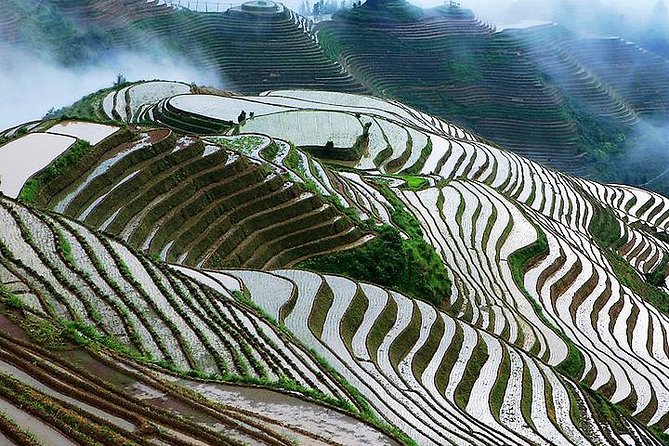 2-Day Private Tour: Classic Li River Cruise and Longji Terrace Tour - Day 1 Lunch and Return Timing: Back in Guilin by 3:30pm