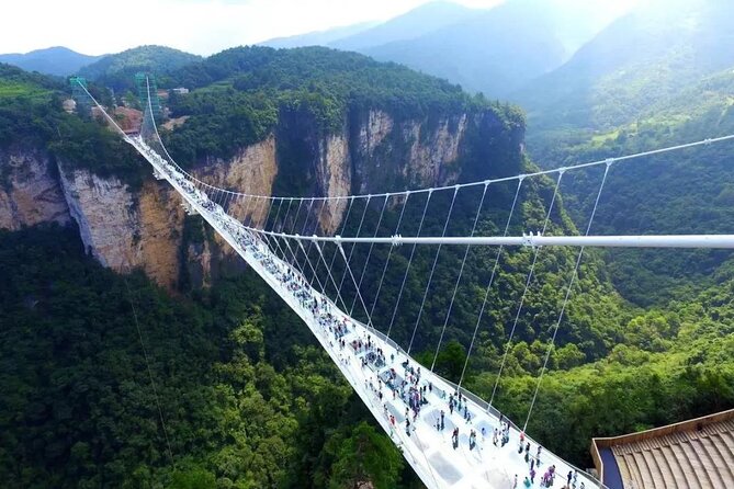 2 Days Zhangjiajie Private Tour for Avatar Mountain Discovery - Day 2 Morning: The Grand Canyon of Zhangjiajie and the Glass Bridge Test