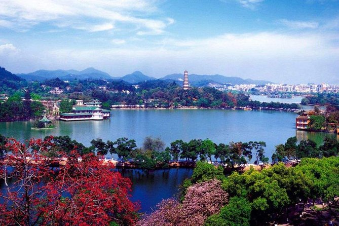 4-Hour Hangzhou City Private Customized Tour with Options - Longjing Tea Fields: The Half-Day Tea Moment That Feels Like Hangzhou