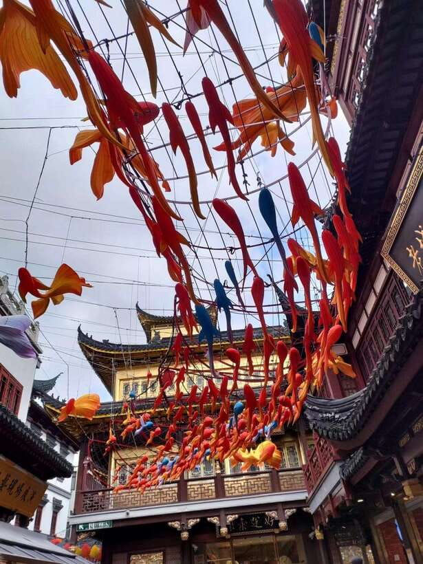 4-Hour Private Shanghai Shopping Tour with Local Expert - Hotel Pickup, a Private Plan, and How to Get the Most from Your List