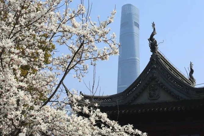 4-Hr Shanghai Layover Tour: Maglev, Wet Market, Food, Landmarks - Turning Pudong Layovers Into a Maglev Sprint