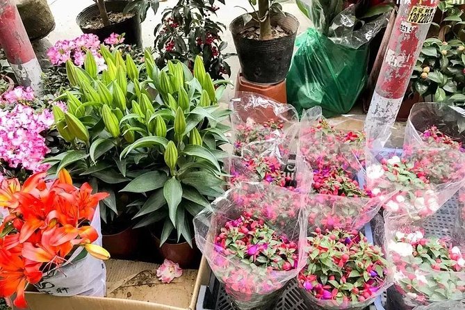6-Hour Private Beijing Tour: Flower and Fish Market, Panjiayuan Antique Market and 798 Art Zone - Panjiayuan Antique Market: where browsing can steal your time