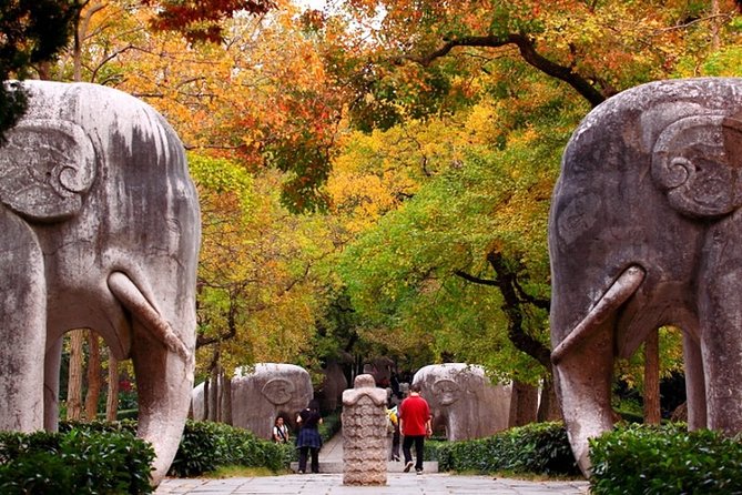 6-Hour Private Tour of Xiaoling Tomb,City Wall & Memorial Hall - Key Highlights You’ll Care About