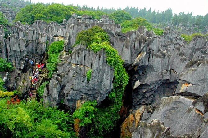 8 Days Private Yunnan Highlight Tour - Day 7: Songzanlin, Yak butter lunch, Shudu Lake, and Pudacuo National Park