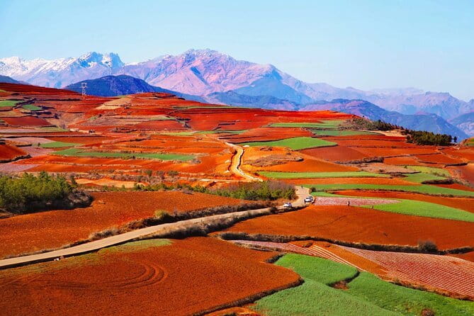 8 Days Private Yunnan Highlight Tour - Day 8: Departure transfer from Shangri-La airport