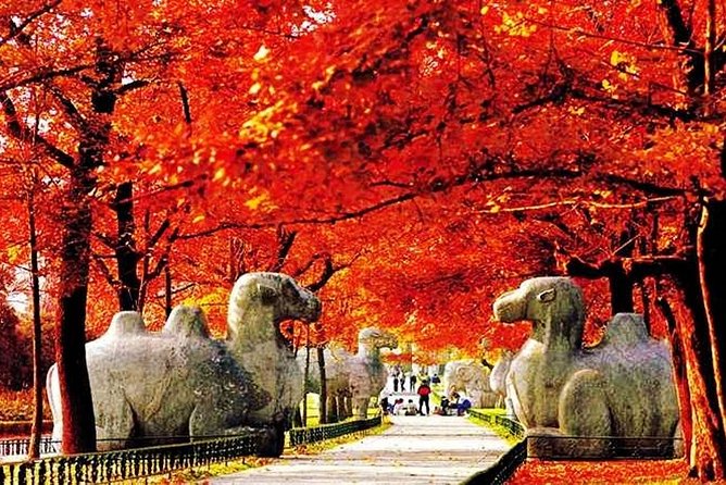 All Inclusive Nanjing City Private Day Tour with Tailor-Made Highlights - Purple Mountain morning: Dr. Sun’s legacy and a Ming imperial tomb walk