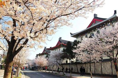 All Inclusive Nanjing City Private Day Tour with Tailor-Made Highlights - Midday and memorial time: the Nanjing Massacre Memorial’s quiet weight