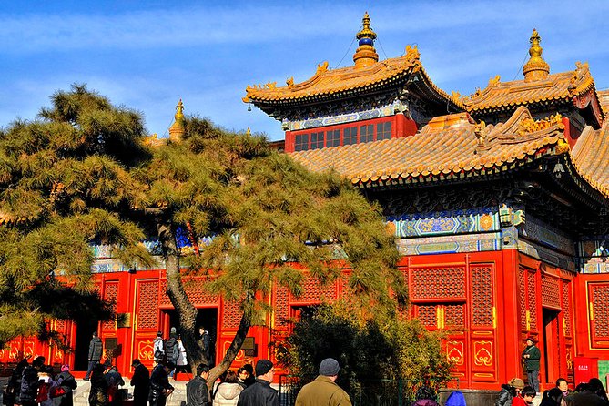 All-inclusive Private Day Trip: Hutongs, Lama Temple & Panda House with Lunch - Who this private Beijing day trip suits best