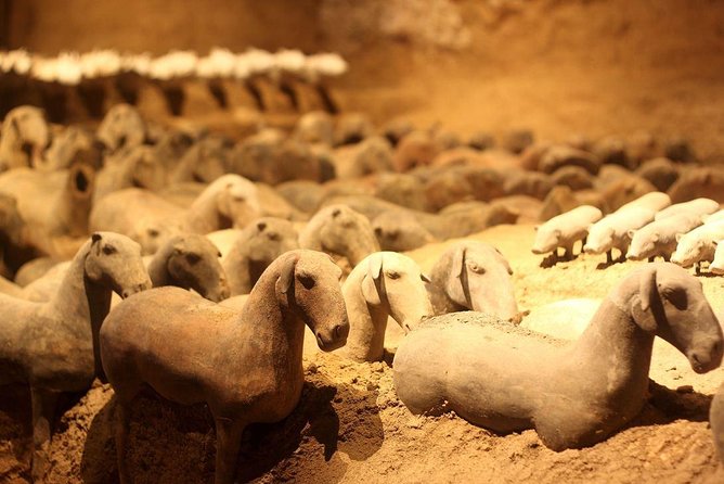 All inclusive Two-Day Xi'an private Heritage Tour - Terracotta Warriors plus the underground Han Yang Ling Museum