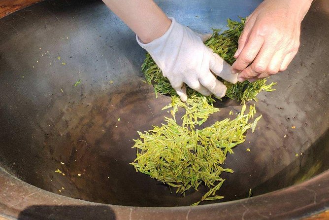 Authentic Hangzhou Longjing Tea Culture Experience Tour - Stop 1: Longjingshan Tea Cultural Village—picking leaves, seeing roasting, then tasting