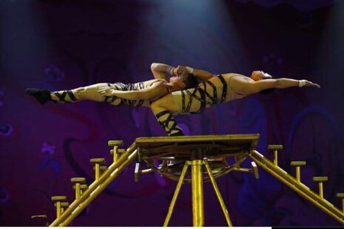 Beijing Acrobatic Show in Red Theater with Guide and Transfer - Timing tips: how to avoid the most common show-night problems