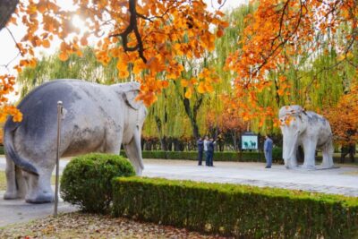 Beijing: Badaling Great Wall & Ming Tombs VIP Skip-the-Line - Badaling Great Wall: watchtowers, battlements, and smart pacing