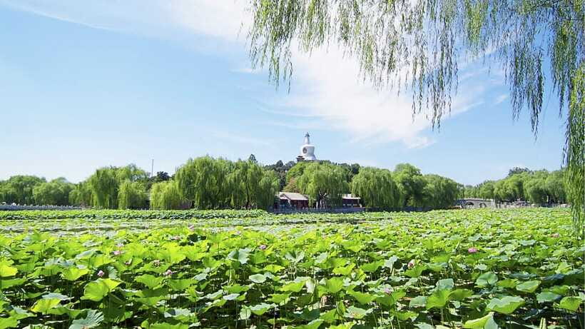 Beijing: Beihai Park Full Access Ticket - Must-See in China - Timing and How to Pace Your Loop