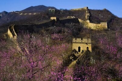 Beijing Day Tour to Tiananmen Square, Forbidden City and Mutianyu Great Wall - Tiananmen Square First: Fast Orientation With Minimal Ticket Trouble