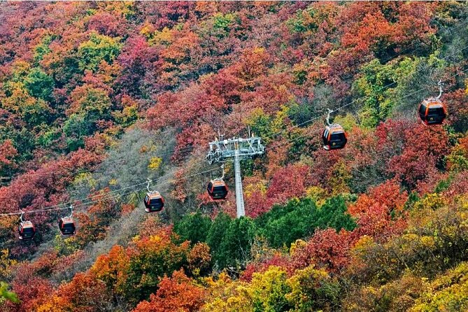 Beijing Great Wall Private Day Tour from Shanghai by Bullet Train - Bullet Train comfort: 1st vs 2nd class choices