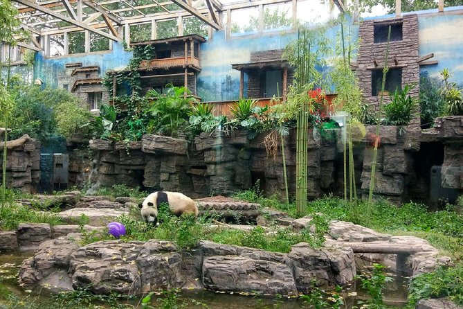 Beijing Half-Day Private Customized Tour: Visit Your Dream Spots - How you build a Beijing half-day that actually fits