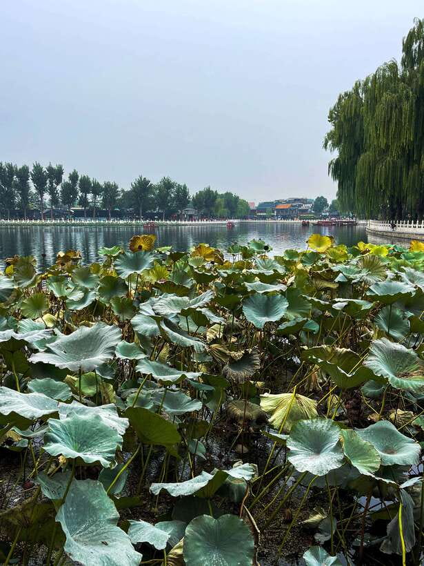 Beijing: Hutongs & Drum Tower City Walking Tour - Price and value: what $69 gets you, and what’s on you