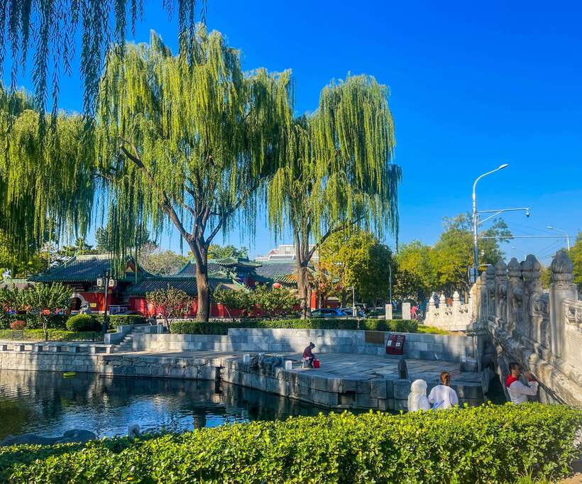 Beijing: Hutongs & Drum Tower City Walking Tour - Who should book this hutongs and Drum Tower tour