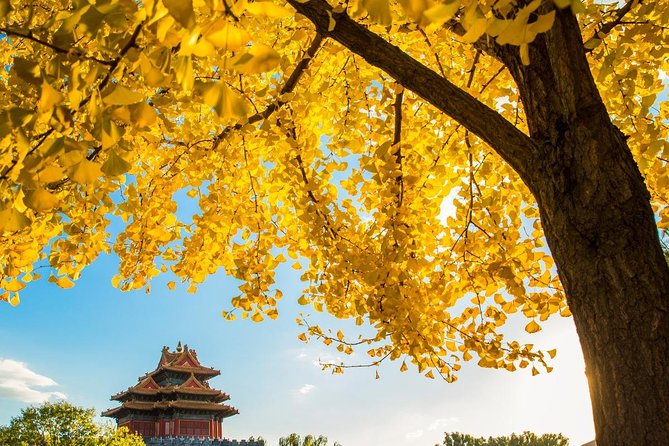 Beijing Layover Tour to Tiananmen Square and Forbidden City - Forbidden City: getting value from 90 minutes inside the Palace Museum