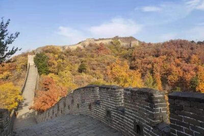 Beijing: Mutianyu Great Wall and Tea House Private Tour - Tea House Break at Beijing Tea Museum: 6 Types, Real Explanations