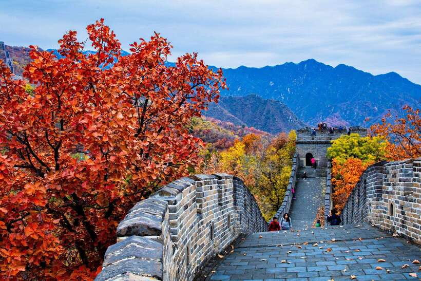 Beijing: Panda House w/Great Wall or City Sites Private Tour - FAQ