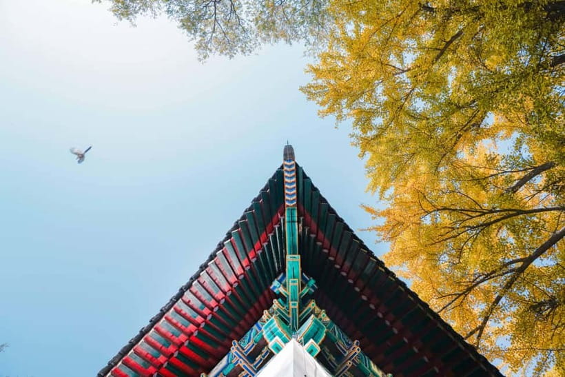 Beijing: Peking University Campus Guided Walking Tour - Traditional Gardens and Courtyard Layouts: The Hidden Meaning Behind the Layout