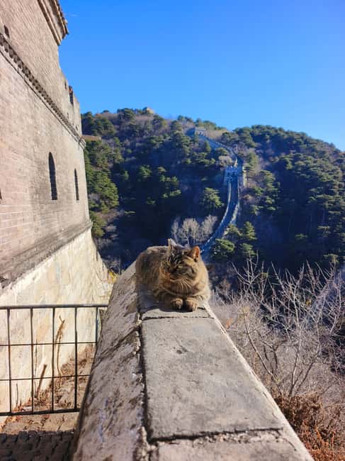 Beijing: Private Guide Tour to Tian'anmen and Forbidden City - Should you book this private tour?