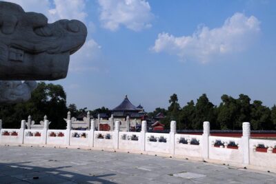 Beijing Private Tour to Temple of Heaven, Panda House and Summer Palace - Morning panda viewing: the best part might be the timing