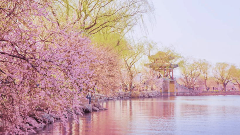 Beijing: Summer Palace Admission Ticket and eGuide - Why the Fast-Track Ticket Feels Worth It (and what you truly get)