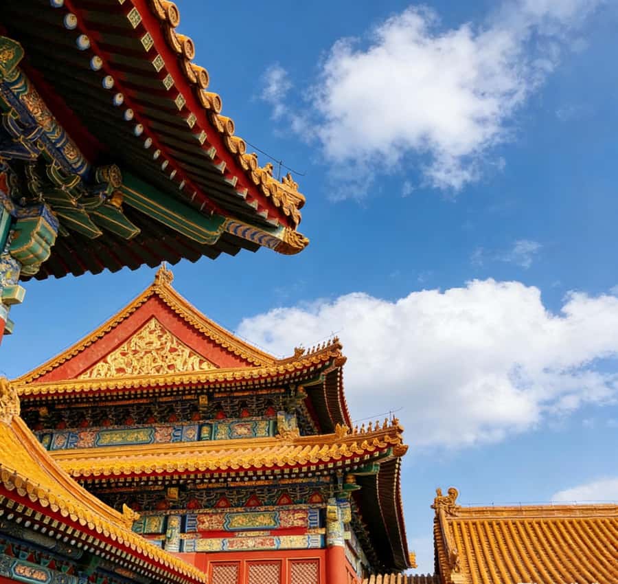 Beijing: Temple of Heaven and Forbidden City Private Tour - The Forbidden City: major halls without getting lost