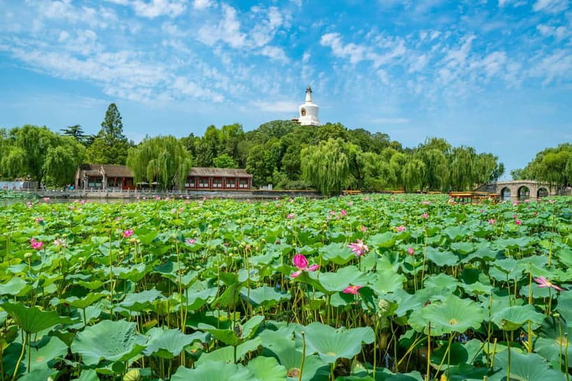 Beijing: Tiananmen Square & Forbidden City Tickets & Tours - Summer Palace, Plus How the Route Changes the Day