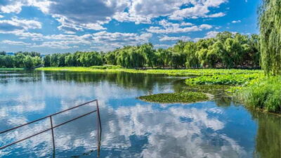 Beijing: YuanMingYuan Park (Garden of Gardens) e-Ticket - Why the Qing Dynasty garden plan is the star of the show