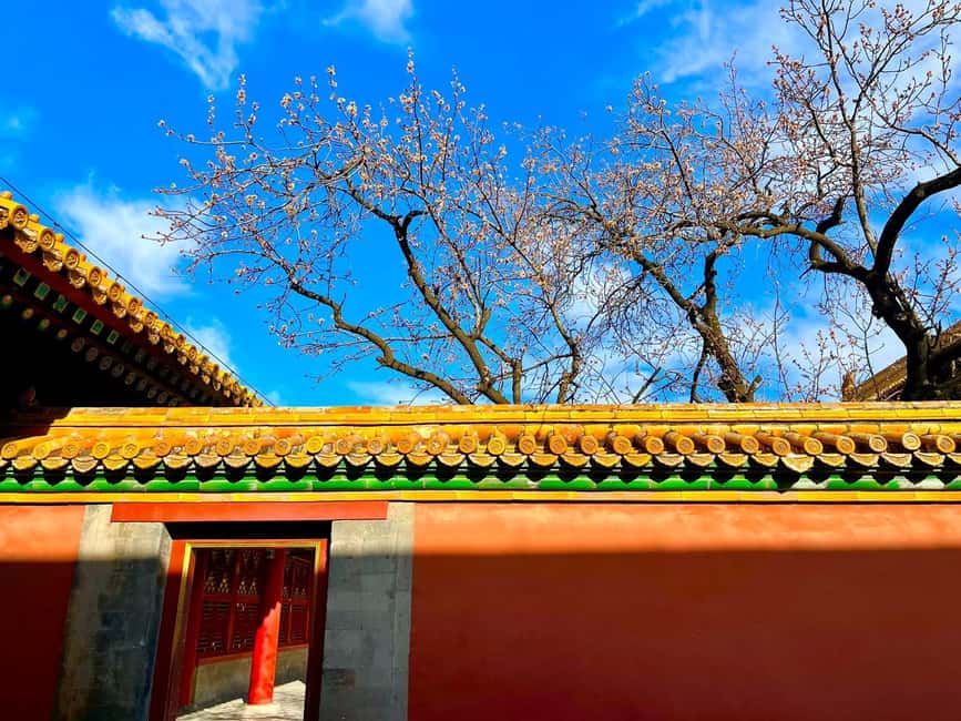 Beijing:Forbidden City Tour--Reveal Secrets Behind Red Walls - Price, value, and what $10 per group really means