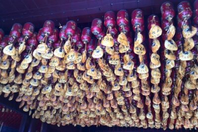Best of Xi'an: Terracotta Warriors Tour with Best Dinner Show Banquet - Hotel pickup at 8:00 am: easy start, less stress
