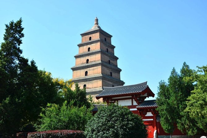Best Xi'an Private Day Tour with Terracotta Warrior Entry Ticket Option - Muslim Quarter Snack Time and a Flexible Final Hour